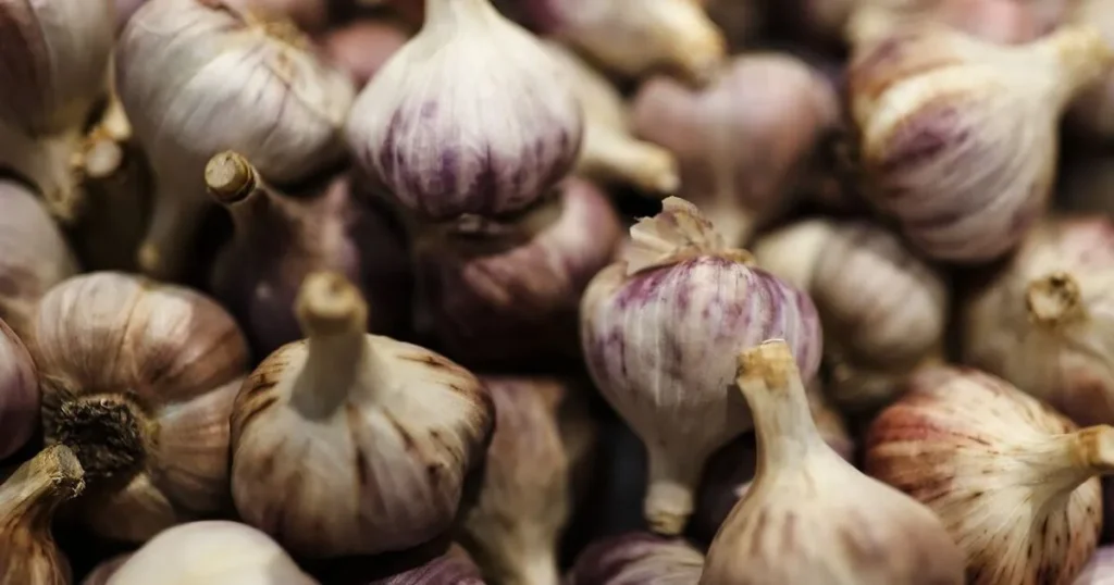 Названа безопасная норма потребления чеснока для здоровья сердца