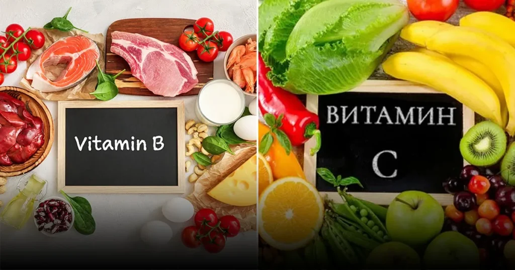 Значение диеты для сердечно-сосудистой системы